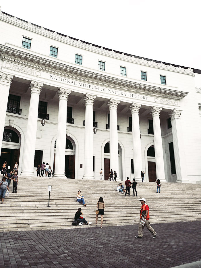 On Museum Etiquette & When You Should Visit The National Museum of Natural History