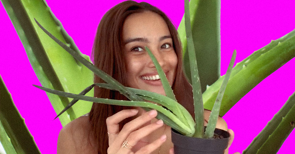 Why Aloe Vera is the Ultimate Beauty Godsend