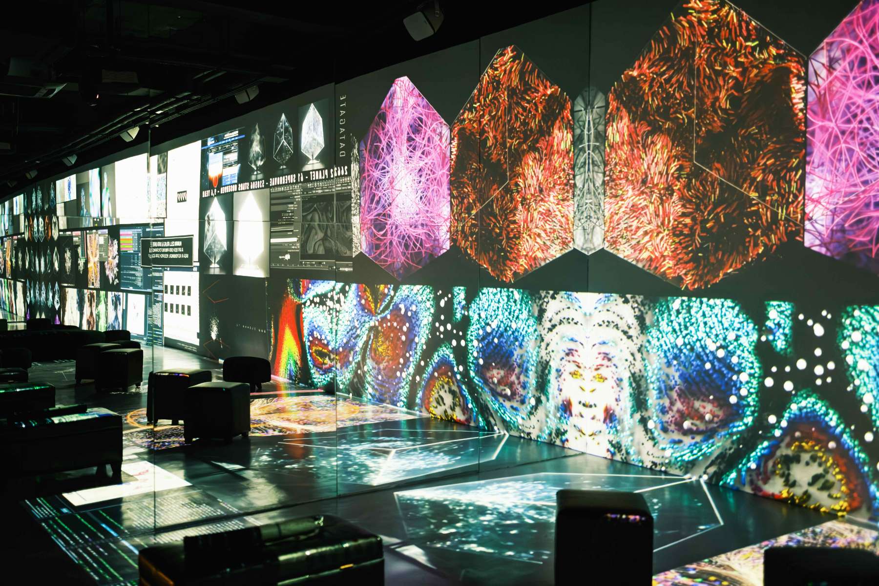 Experience a World of Colors with the “Wisdom of Da Vinci” at BGC
